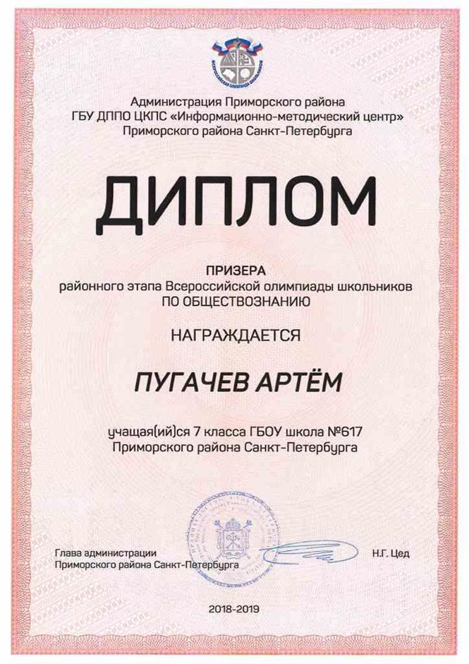 2018-2019 Пугачев Артем 7л (РО-обществознание)